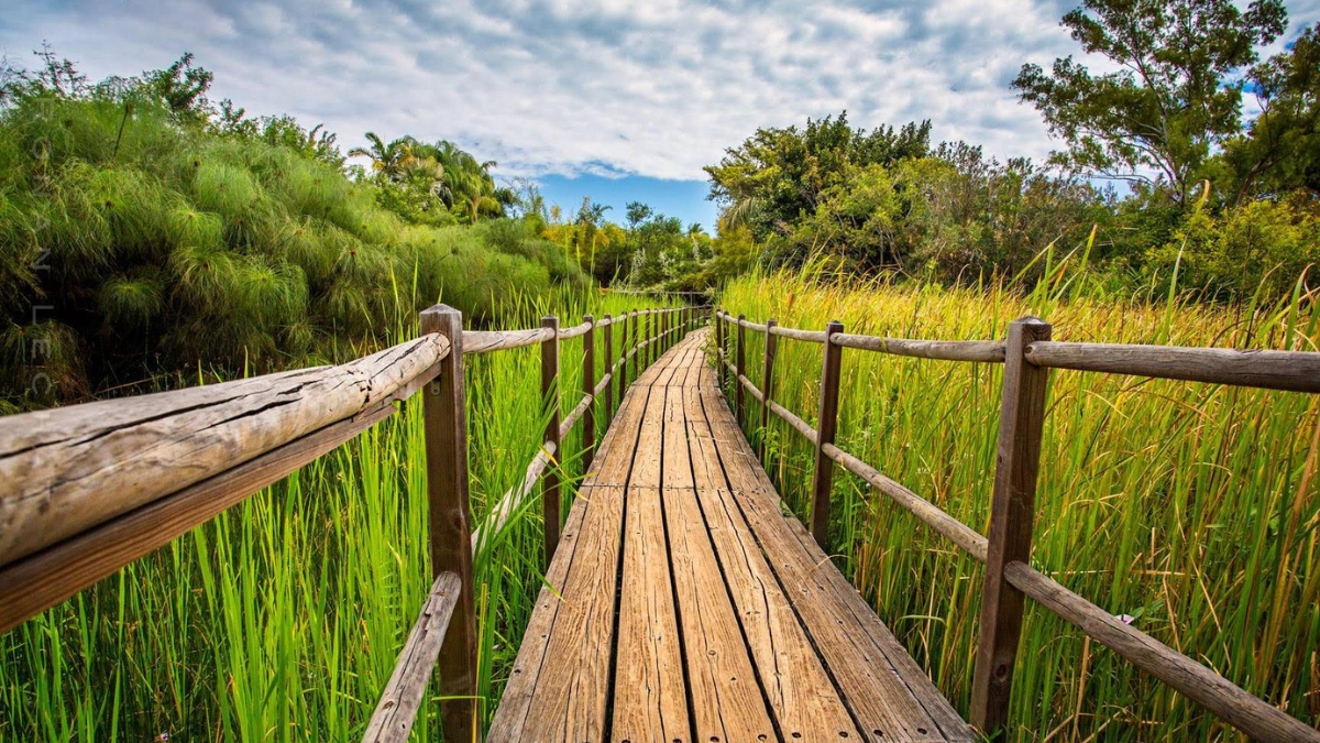 Jardin d'Eden — Jardin botanique tropical